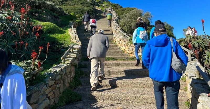 Cape of Good Hope and Penguins Viewing Private Day Tour - Highlights and Experience