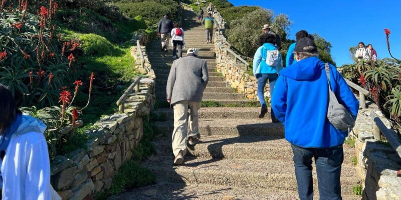 Cape of Good Hope and Penguins Viewing Private Day Tour - Inclusions