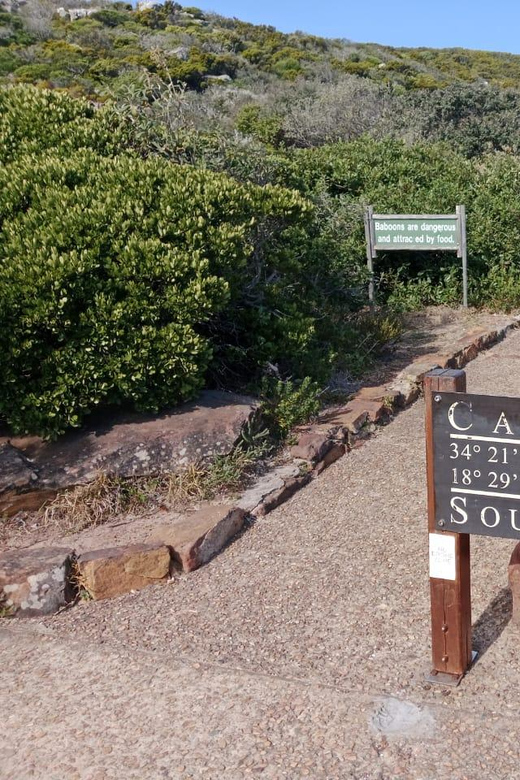 Cape of Good Hope and Penguins Viewing Private Day Tour - Meeting Points