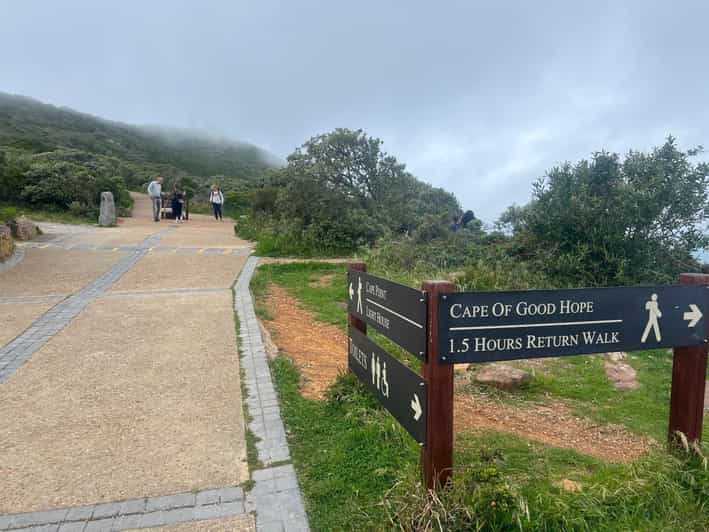 Cape of Good Hope and Penguins Viewing Private Day Tour - Itinerary and Highlights