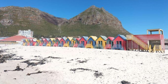 Cape of Good Hope and Penguins Viewing Private Day Tour - Optional Seal Island Visit