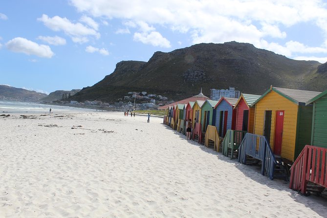 Cape of Good Hope Bo-Kaap Penguins Full Day Tour From Cape Town - Tour Highlights