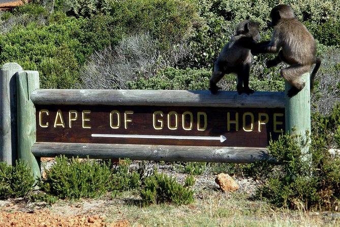 Cape of Good Hope, Cape Point & Penguins, Private Customizable Morning Tour - Cancellation Policy