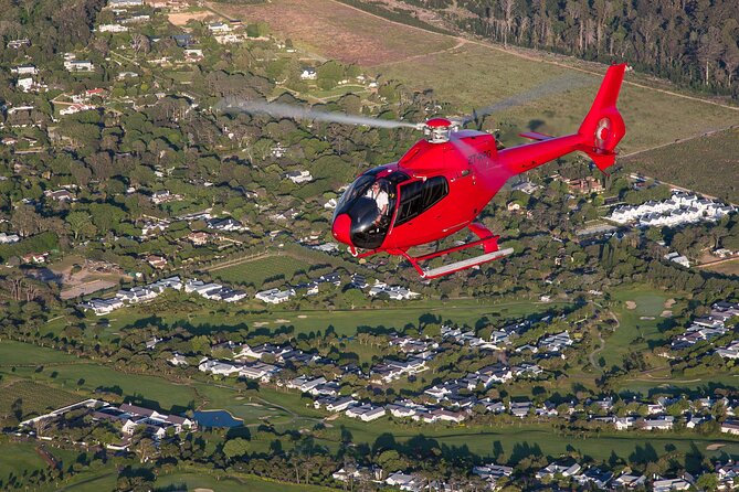 Cape of Good Hope Helicopter Private Tour With Stellenbosch Wine Tasting & Lunch - Wildlife Encounter