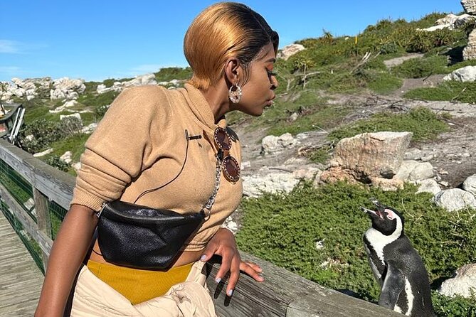 Cape of Good Hope & Penguins Small Group Tour From Cape Town - Additional Information