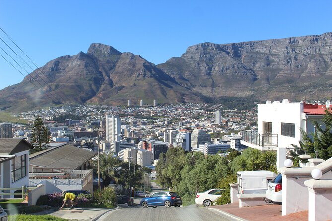 Cape of Good Hope, Table Mountain & Penguins Tour + All Tickets - Additional Tour Information
