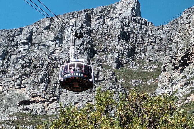 Cape of Good Hope, Table Mountain & Penguins Tour + All Tickets - Reviews and Ratings