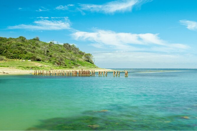 Cape of Rodon Full-Day Private Tour From Tirana - Highlights of the Private Tour