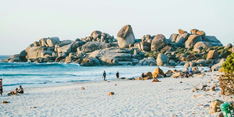 Cape Peninsula and Penguin Colony Full Day - Key Points