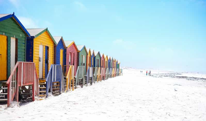 Cape Peninsula and Penguin Colony Full Day - Itinerary Highlights