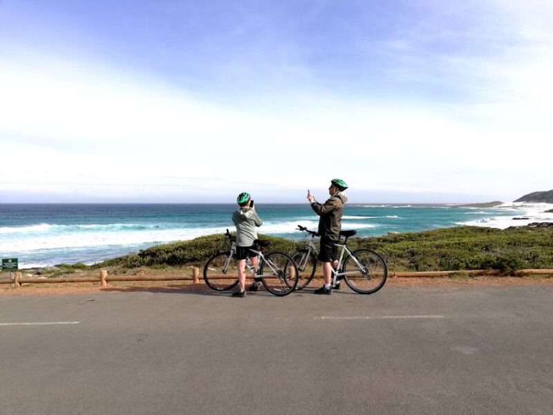 Cape Peninsula: Cycle & Drive Private Full Day Tour - Key Points