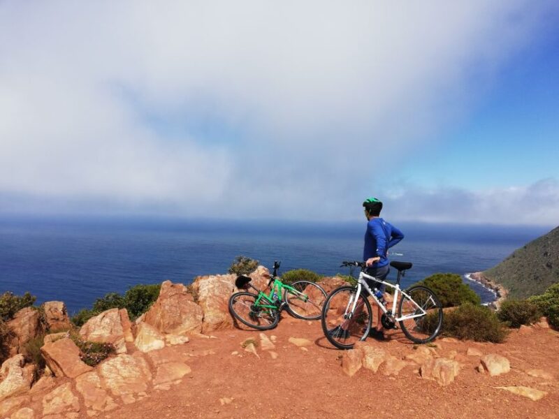 Cape Peninsula: Cycle & Drive Private Full Day Tour - Highlights