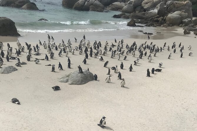 Cape Peninsula Cycle Tour - Customer Reviews