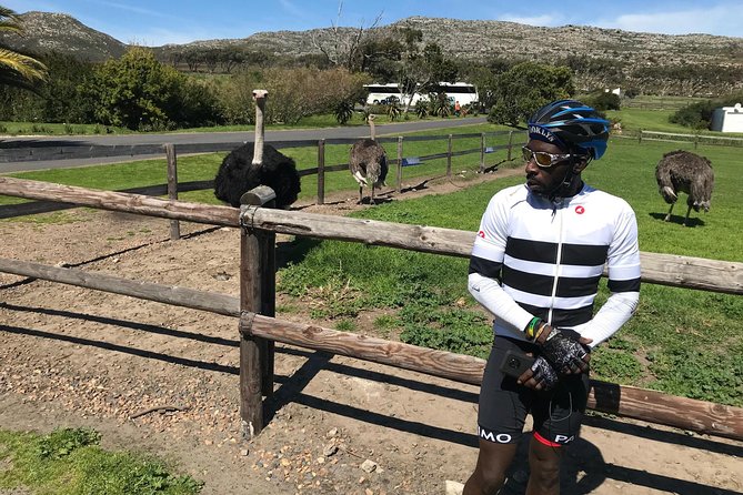 Cape Peninsula Cycle Tour - Bicycle Rental