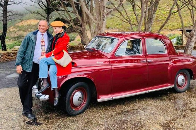 Cape Peninsula in a Vintage Car (Penguins, Cape Point & Chapmans Peak Drive) - Pickup and Booking