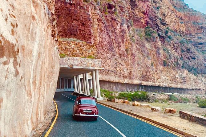 Cape Peninsula in a Vintage Car (Penguins, Cape Point & Chapmans Peak Drive) - Wildlife Spotting