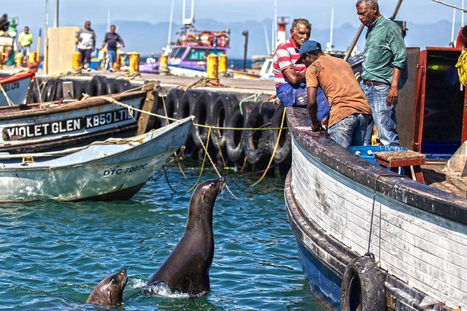 Cape Peninsula in a Vintage Car (Penguins, Cape Point & Chapmans Peak Drive) - Pricing and Details