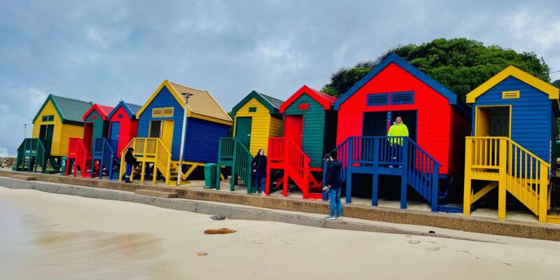 Cape Peninsula: Penguin Paradise Guided Group Tour - Included Amenities