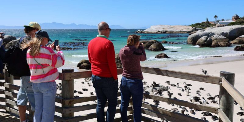 Cape Peninsula & Penguins Beach Half Day Tour From Cape Town - Key Points
