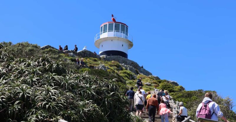 Cape Peninsula & Penguins Beach Half Day Tour From Cape Town - Itinerary Highlights