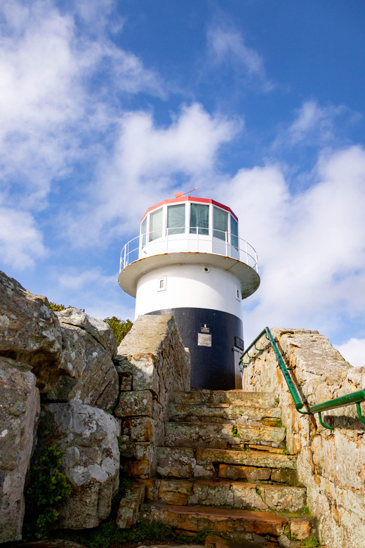 Cape Peninsula: Private Full Day Tour - Key Points