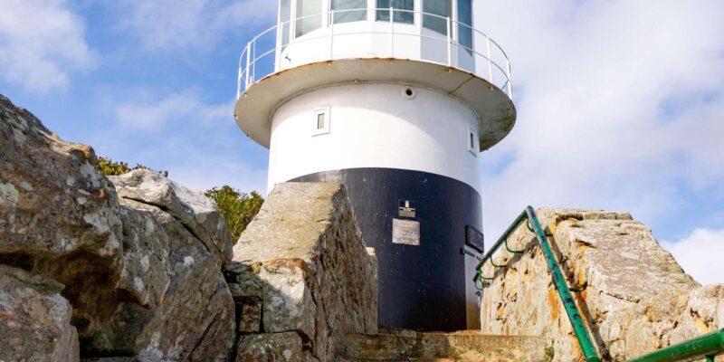 Cape Peninsula: Private Full Day Tour - Itinerary Highlights