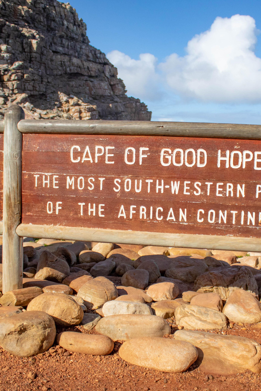 Cape Peninsula: Private Half Day Tour - Key Points