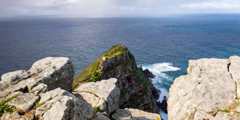 Cape Peninsula: Private Half Day Tour - Experience Highlights