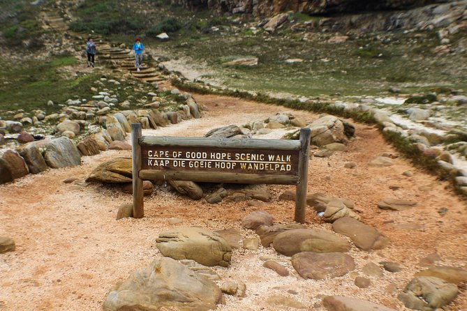 Cape Peninsula Private Tour - Visiting Hout Bay and Simonstown