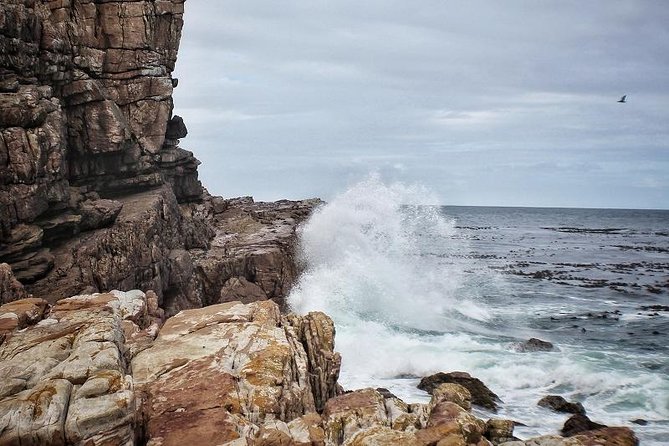 Cape Peninsula Private Tour - Inclusions and Exclusions