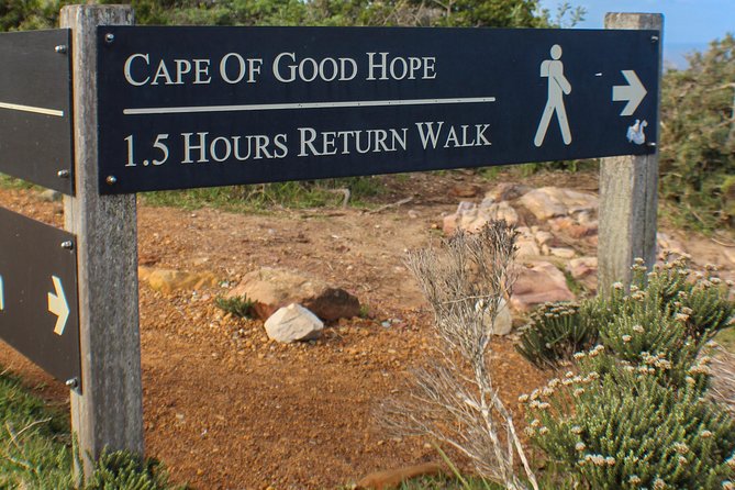 Cape Peninsula Private Tour - Customer Testimonials