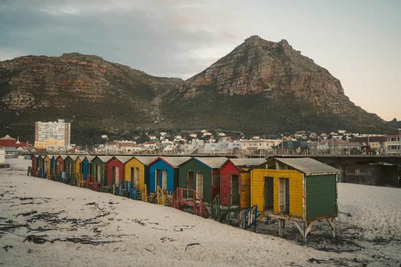 Cape Peninsula Private Tour In Cape Town South Africa - Itinerary Highlights