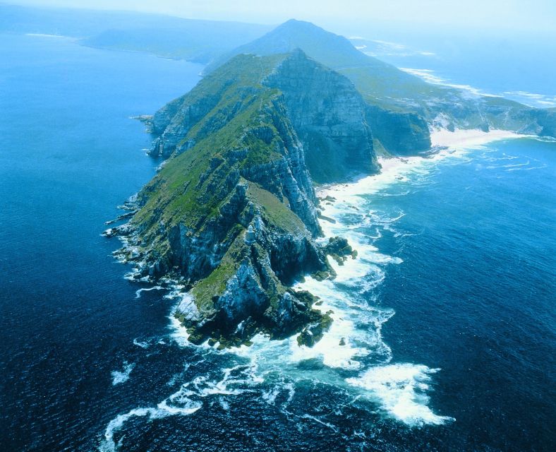 Cape Peninsula Shared Half-Day Tour - Key Points