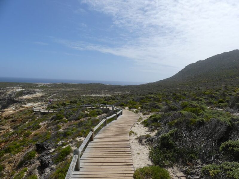 Cape Peninsula Shared Half-Day Tour - Wine Region Visit
