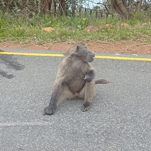 Cape Peninsula Tour - Relaxing at Camps Bay