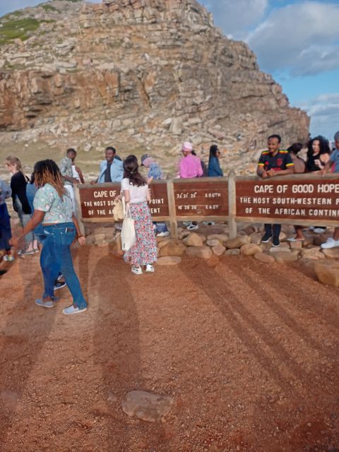 Cape Peninsula Tour - Encountering African Penguins in Simons Town