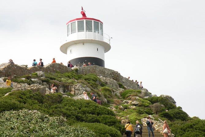 Cape Peninsula Tours - Accessibility and Participation
