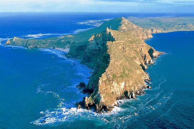 Cape Point and Boulders Penguins Full Day Tour - Wildlife Sightings
