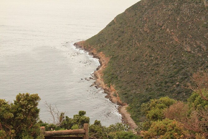 Cape Point and Cape of Good Hope Day Tour up to 10 Persons - Responsive to Requests