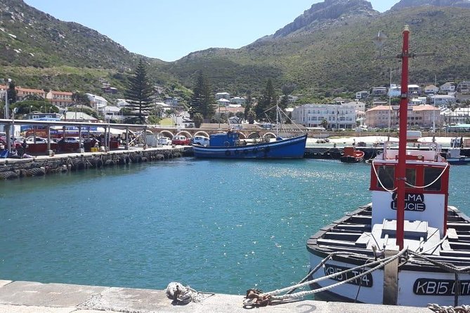 Cape Point, Boulders Beach in Private Car - Accessibility and Additional Info