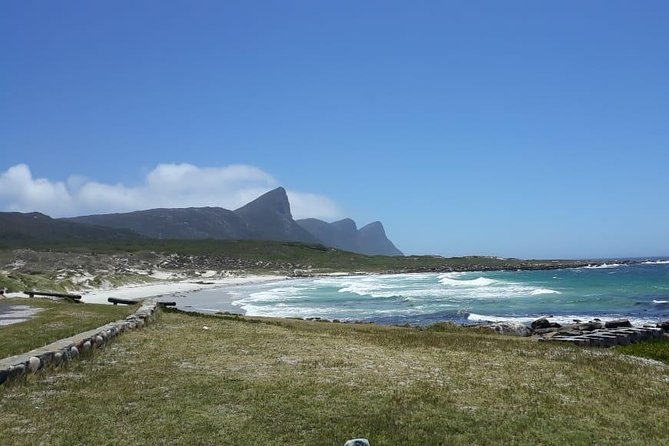 Cape Point, Boulders Beach in Private Car - Guest Reviews and Feedback