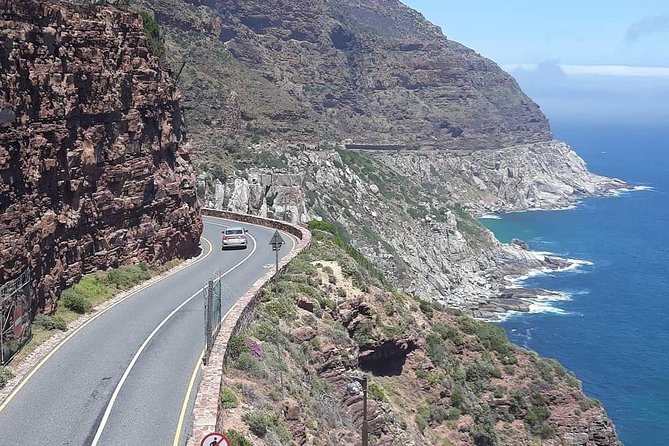 Cape Point, Boulders Beach in Private Car - Venture to Cape of Good Hope