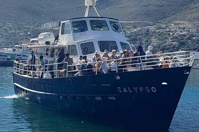 Cape Point Cape Of Good Hope And Penguins Private Tour - Itinerary Overview