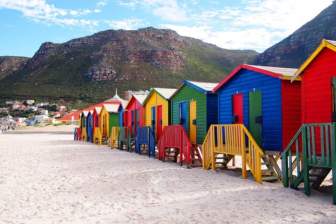 Cape Point ,Cape of Good Hope and Table Mountain Tour . - Tour Highlights