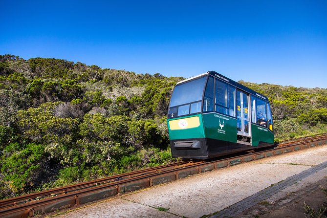 Cape Point Flying Dutchman Funicular Return Ticket - Magnificent Ocean Views