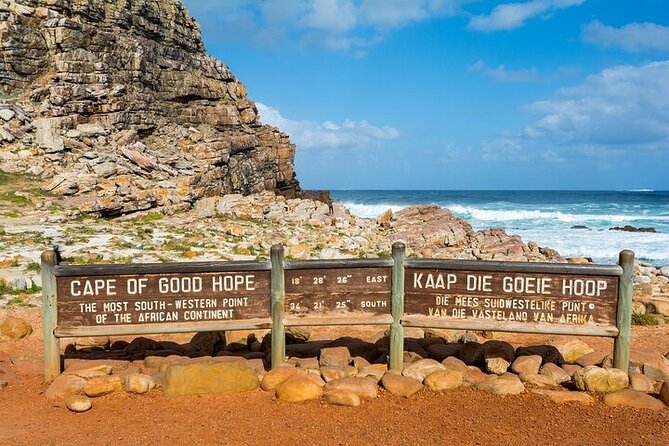 Cape Point Full Day Tour - Accessibility and Participation