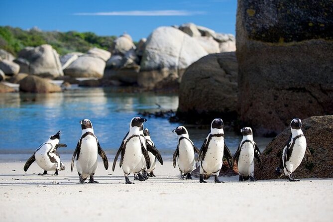Cape Point Full Day Tour - Booking and Cancellation Policy
