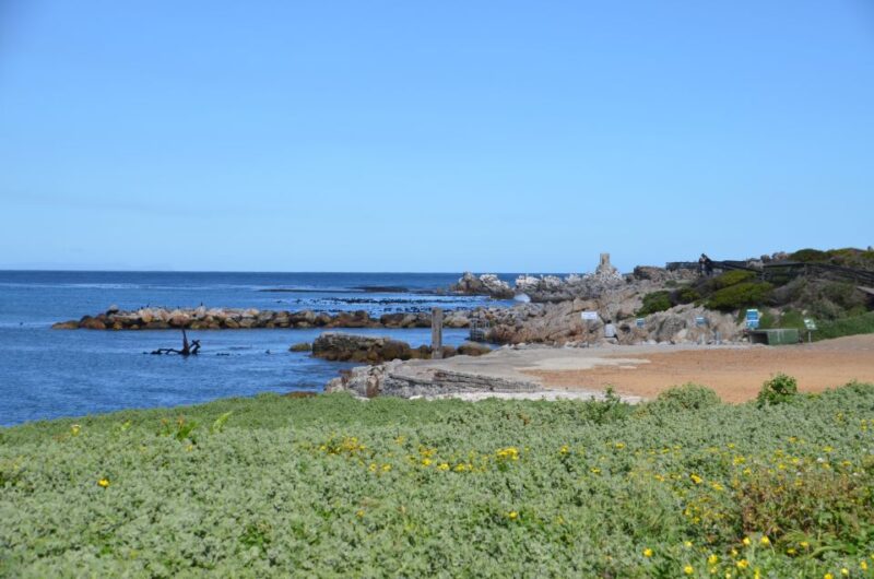 Cape Point Full-Day Tour From Cape Town - Key Points
