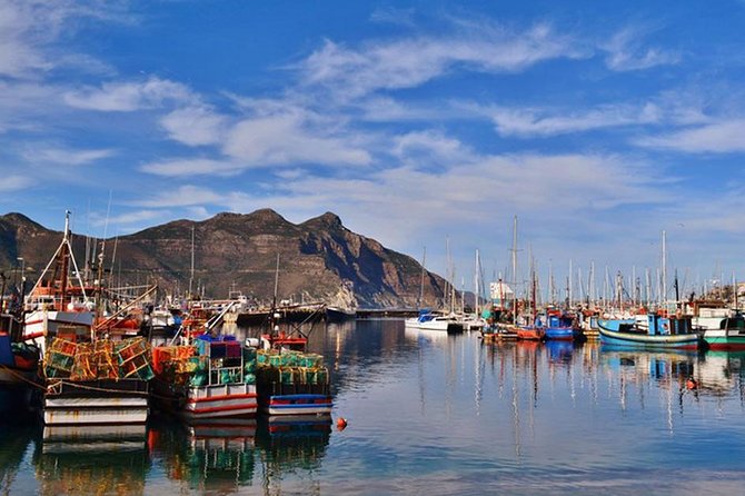 Cape Point Peninsula Tour - Cancellation and Reviews