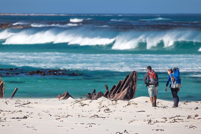 Cape Point Private Nature Tour & Hike - Local Dining Experience